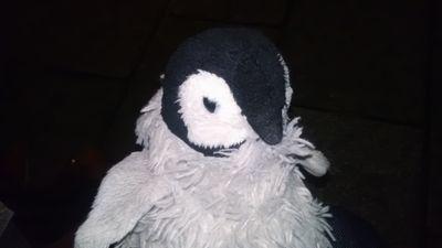 さうんぺ