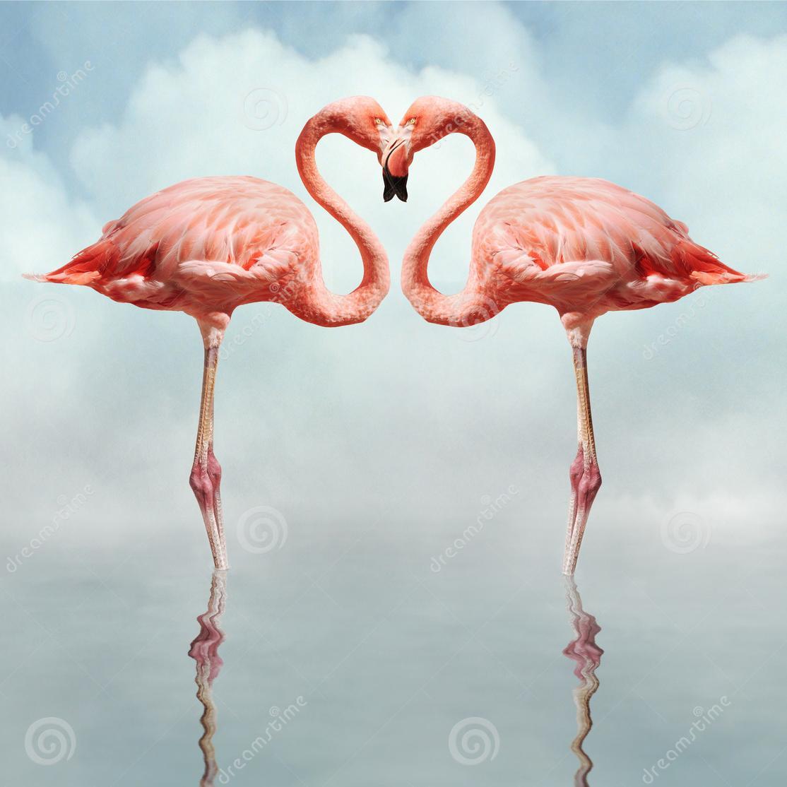 KITSCHENZINK's profile picture. For the love of all things flamboyant, gutsy, retro and altogether kitsch. What more could any girl want?