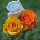 Mery Castro - @merymcastrorodr - Twitter