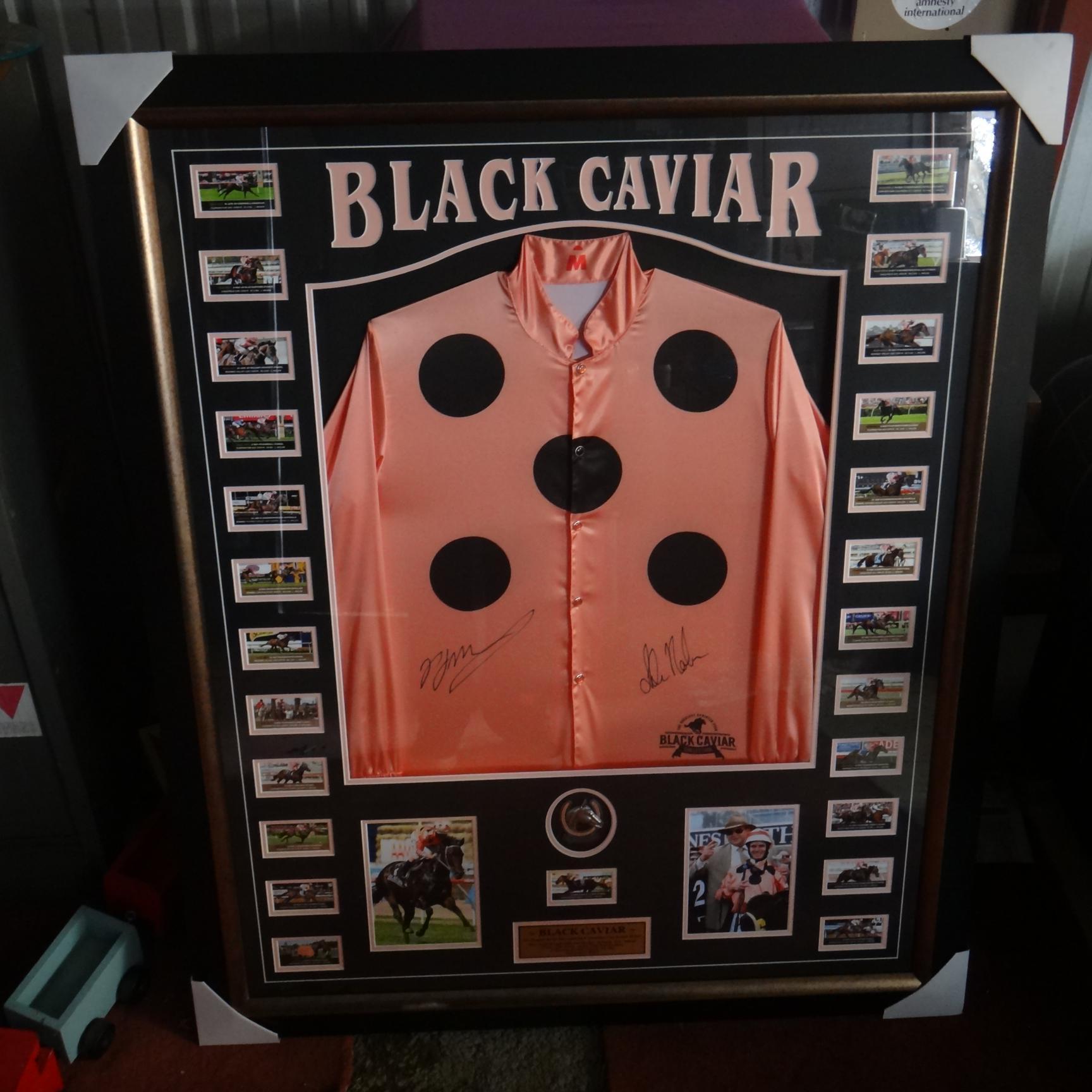 chookmeister's profile picture. 