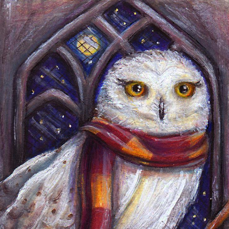 DiamondHedwig's profile picture. Del 95. Actualmente jugador de CS:GO. Me gusta echarle tiempo a los videojuegos y mejorar!