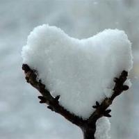 Nas (@16sleiman) Twitter profile photo