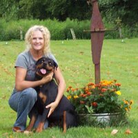 Susie Jackson (@csusiej) 's Twitter Profile