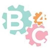 B4C Profile