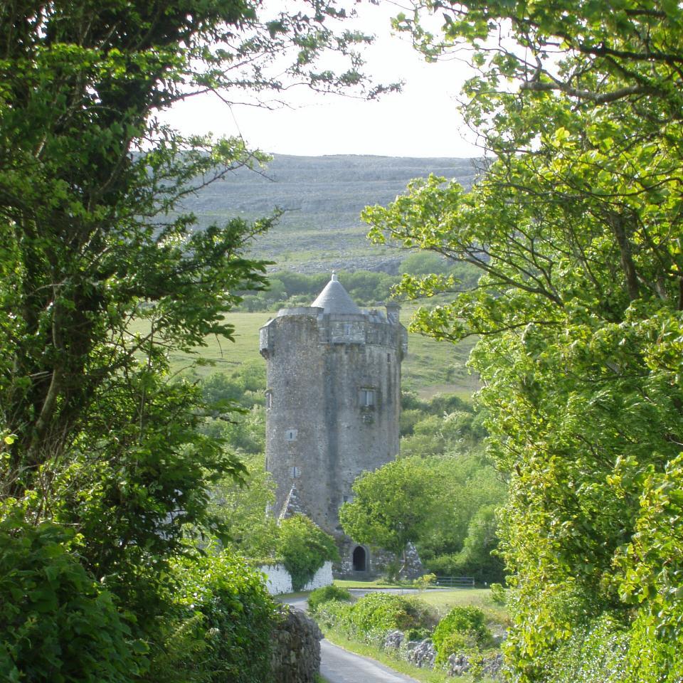 The annual Burren Law School is held the first weekend in May and aims to recreate the tradition of legal learning associated with the Brehon Law Schools.