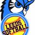 Leeds Softball (@leedssoftball) Twitter profile photo