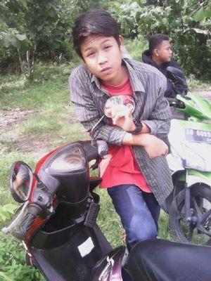 PIN: 52D71713 || LINE  ID: adhe351
