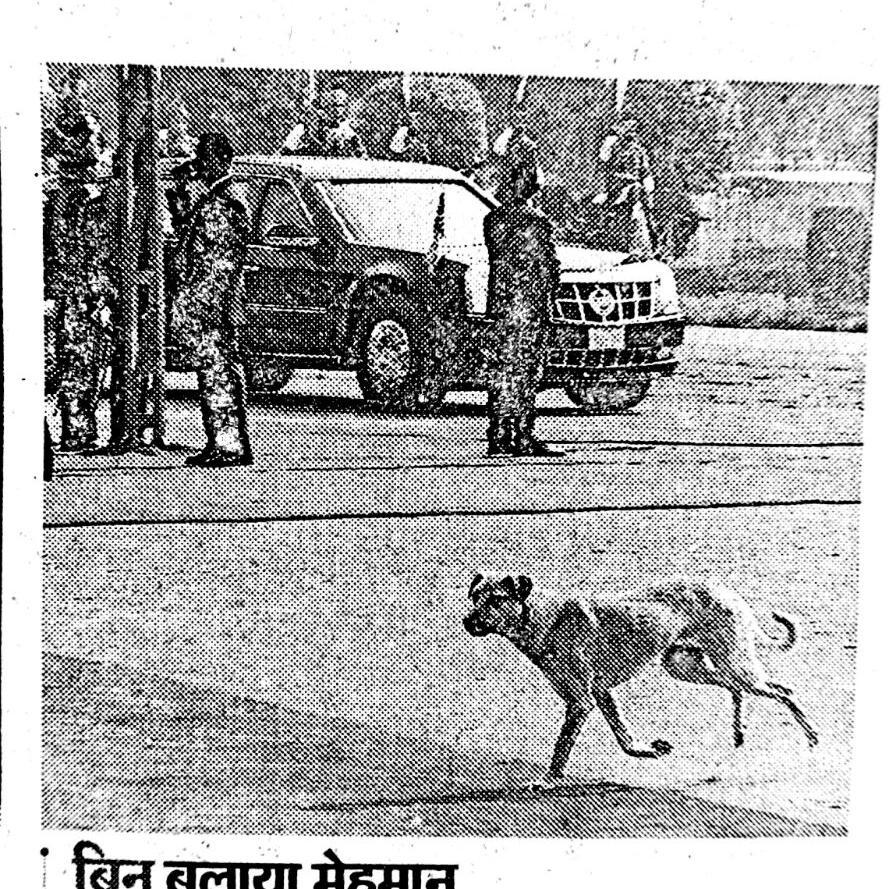 i sanjeev soni(46)made this a/c to create awareness among citizen and GOI to understand DOGS are dangerous pests and must be eradicated from this country