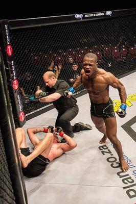 i'm
 just a  normal guy with a deep love of martial arts, love MMA more than
 anything , love fighting in the cage.  MMA pro fighter and 
trainer at Impakt
