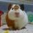 komattachanbba's profile image