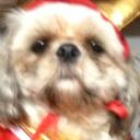 Jonas May - @JonasMay86 - Twitter