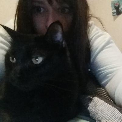 samisaurus001's profile picture. Designosaur or Graphic Designer. Loves Bacon, Dinosaurs, and sparkly colourful things. You'll never meet anyone who loves Lord of the Rings more than me.