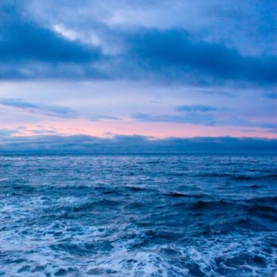 metro_zahid's profile picture. 