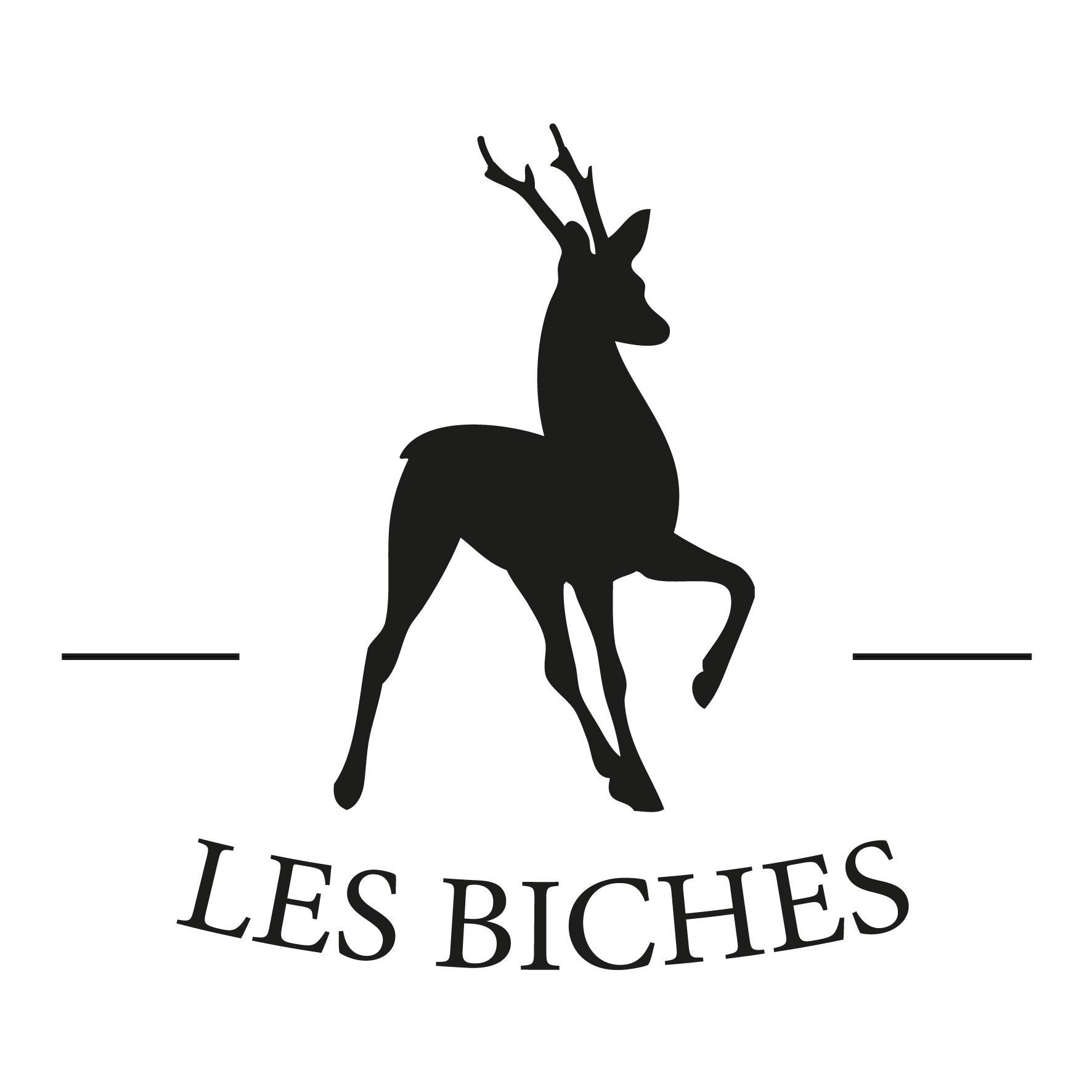 Lesbiches, Hors-Zones & urbaines. Photographes, graphistes, DJettes et artistes. Collectif de belles biches, lesbiennes, bi, hétéros non normées