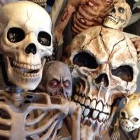 Mr. Bonez (@stevewas123) 's Twitter Profile