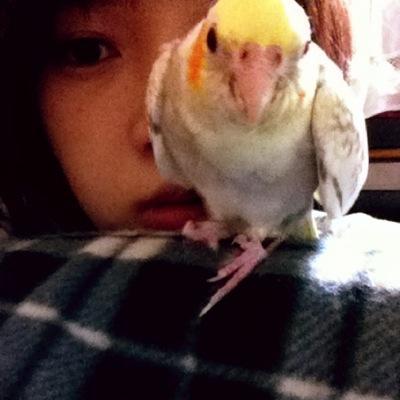 98line/JK1/Osaka/永瀬廉/なにきん/関ジュ/東京Jr. クリパ12.2参戦済/気軽にフォローして下さい♡