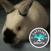 TrusiRucos's profile picture. Pie mums zāle - zaļāka, debesis - zilākas un truši - baltāki!