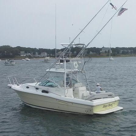 HighHookII's profile picture. 