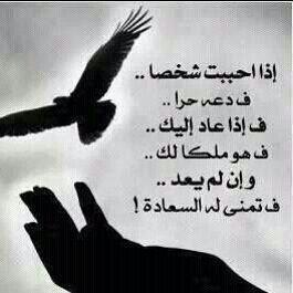 أحياناً نضطر لاختلاق الصدف لأننا لا نطيق.. الانتظار”