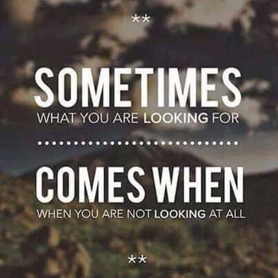 SumanVm18's profile picture. passionate about photography