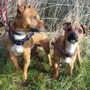 Elizabeth Keating - @izzysartwork - Twitter