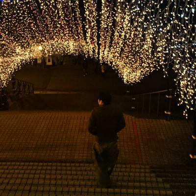 １８✲     気まぐれに呟く垢。  でへ。                    (リア垢秘密)