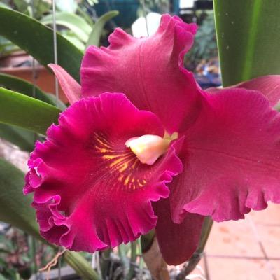 nguyencuong0's profile picture. 