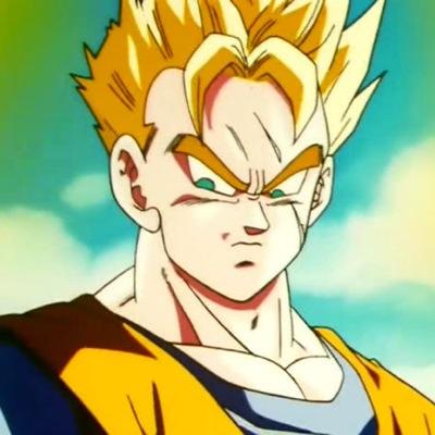 Well, I am part human and part Saiyan. I love to read, study and train physically and mentally to help defend the earth when I can. |Parody| |#DBZSquad|