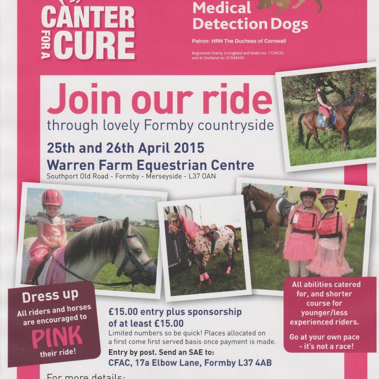 CanterForACureN's profile picture. Canter For A Cure North Of England, have a blast on a sponsored ride and raise funds for a fantastic cause at the same time.