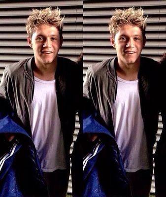 HI THIS IS A FREE FOLLOW FROM @niallftjanos i follow back