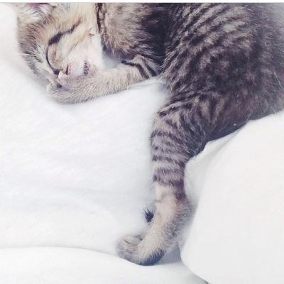 bartan1977's profile picture. 