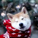 Катя Милтон - @Kate_Milton19 - Twitter