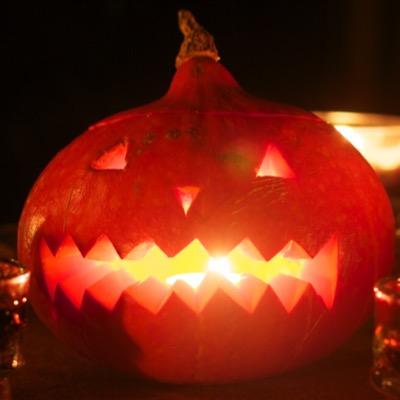 Gangrr's profile picture. IT expert