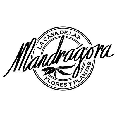 CONTACTO PARA COMPRAS Y ATENCIÓN (Whatsapp) T. 55-2128-0335 T. 55-1364-8797
