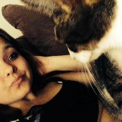 izniharkutal467's profile picture. 