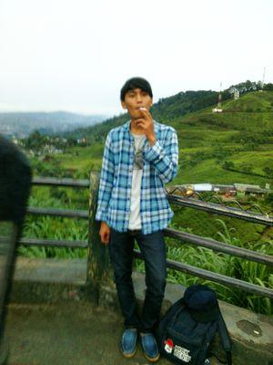 73debe7218314c8's profile picture. 