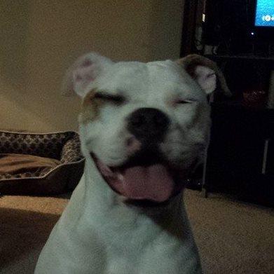 kane11b's profile picture. I like ice cream and pineapple.