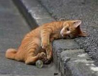 pablodaniel551's profile picture. 