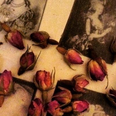 lucyvintagrooms's profile picture. We have two shops in the heart of derbyshire,open 7 days a week.specialising in decrotive french antiques and vintage contact Lucy on 07599549600 for more info