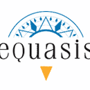 Equasis aims at collecting and disseminating quality and safety-related information on the world's merchant fleet provided by holders of such information.