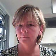 AnkeNeutelings's profile picture. 