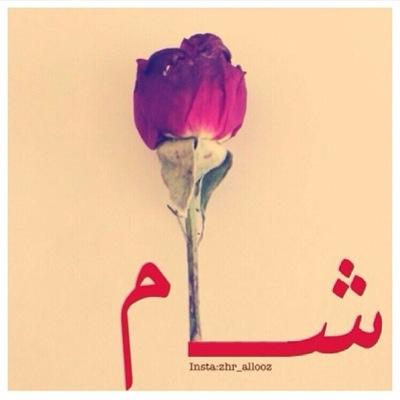 (وَمَا النَّصْرُ إِلاَّ مِنْ عِندِ اللّهِ الْعَزِيزِ الْحَكِيمِ)