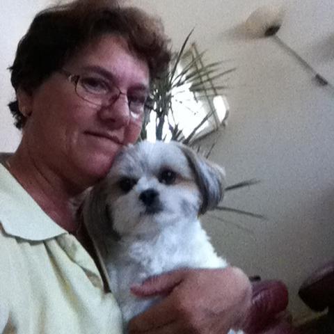 eversjoke's profile picture. 