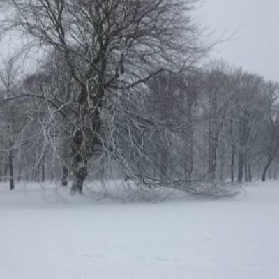 miles030's profile picture. 