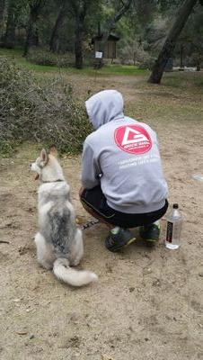 ajitsugbr's profile picture. @jacobusjoojitsoo IG
Jiu Jitsu, Bolo the Husky, Video games.