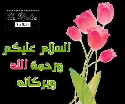 ‏‏أهلا وسهلا كيفكم منورين أحب الإحترام المتبادل وأقدر الصداقة الجادة واالي تبغوه من عيوني