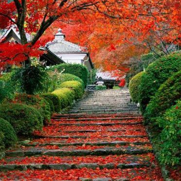 MariamHarutyun1's profile picture. 