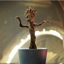 Little Chick - @KatieChick4 - Twitter