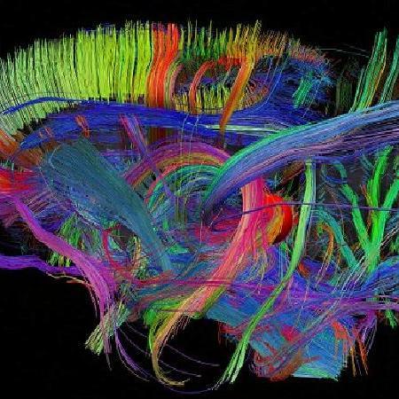 rebajonez's profile picture. 