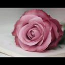 ام عبدالله (@11fayzhC) Twitter
